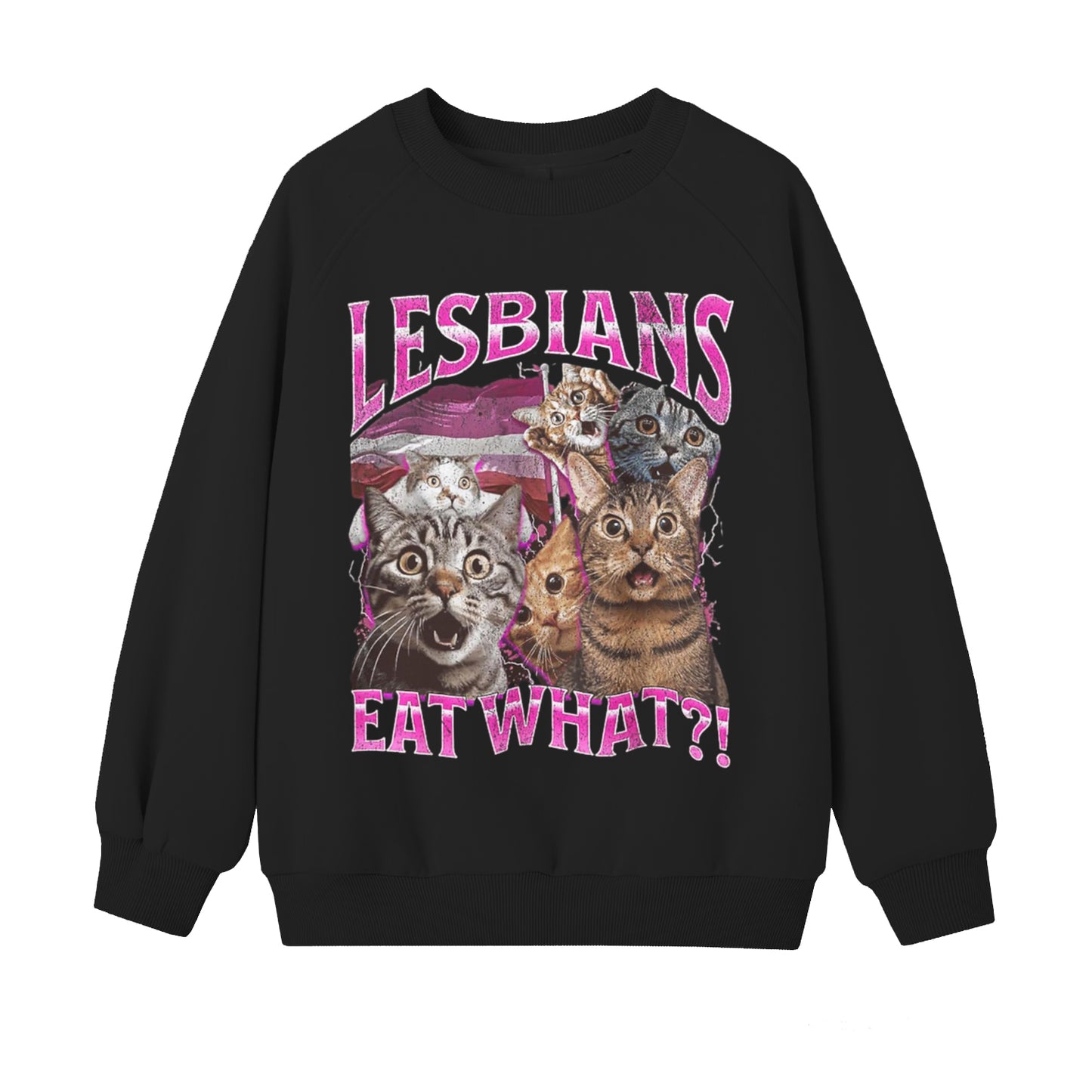 Women's Lesbians Eat What LGBT Funny Cat Art Pattern Print Sweatshirt