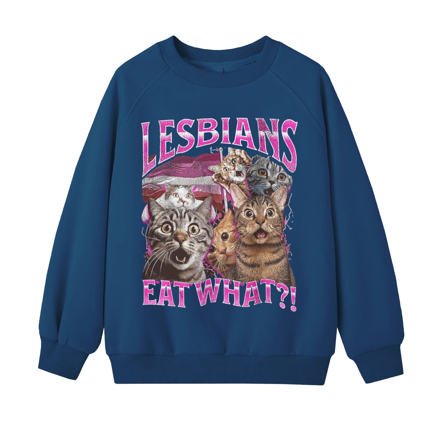 Women's Lesbians Eat What LGBT Funny Cat Art Pattern Print Sweatshirt