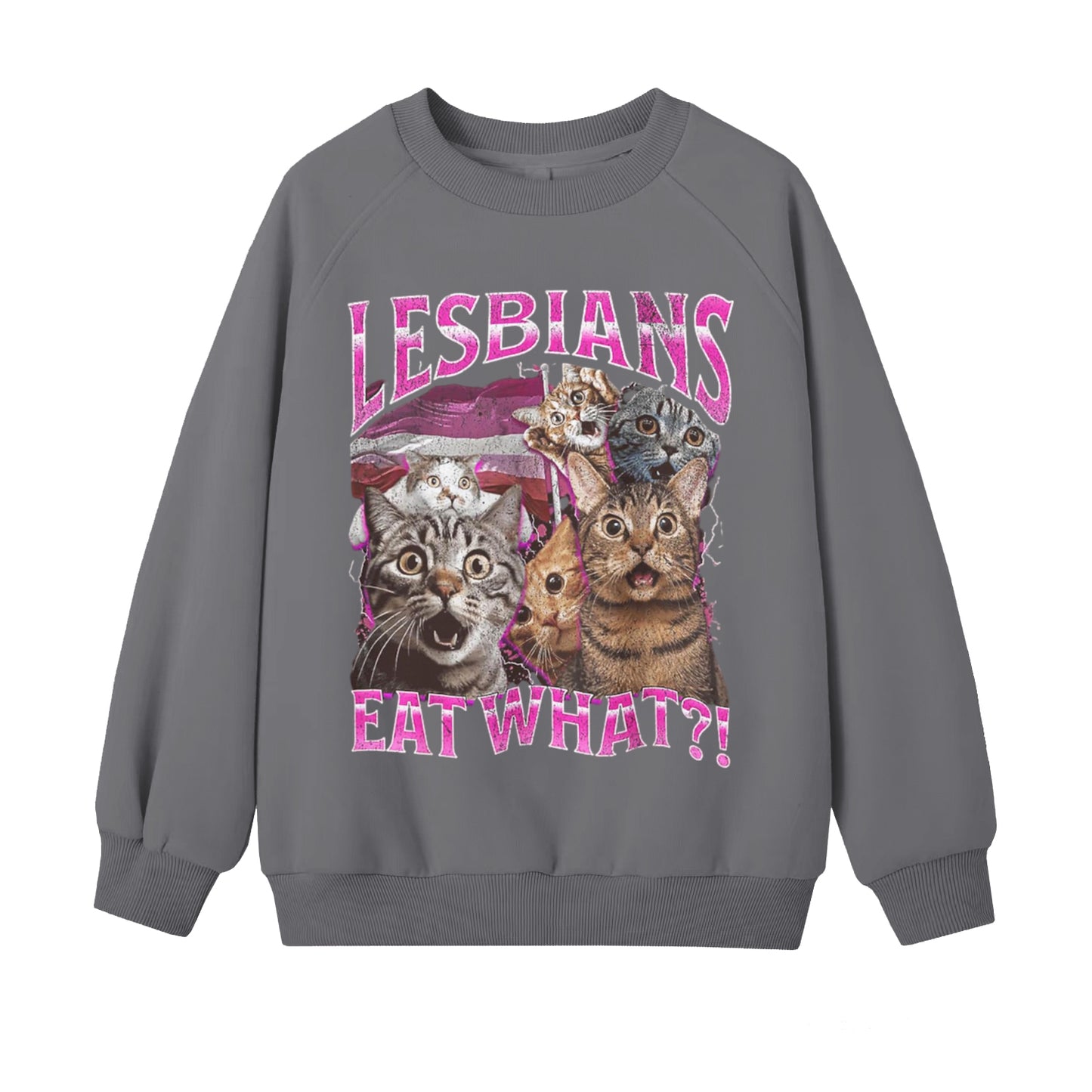 Women's Lesbians Eat What LGBT Funny Cat Art Pattern Print Sweatshirt