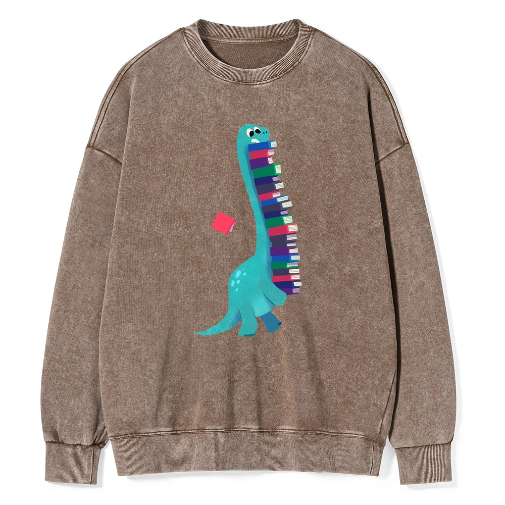 Book Dinosaurs Unisex Washed Sweatshirt