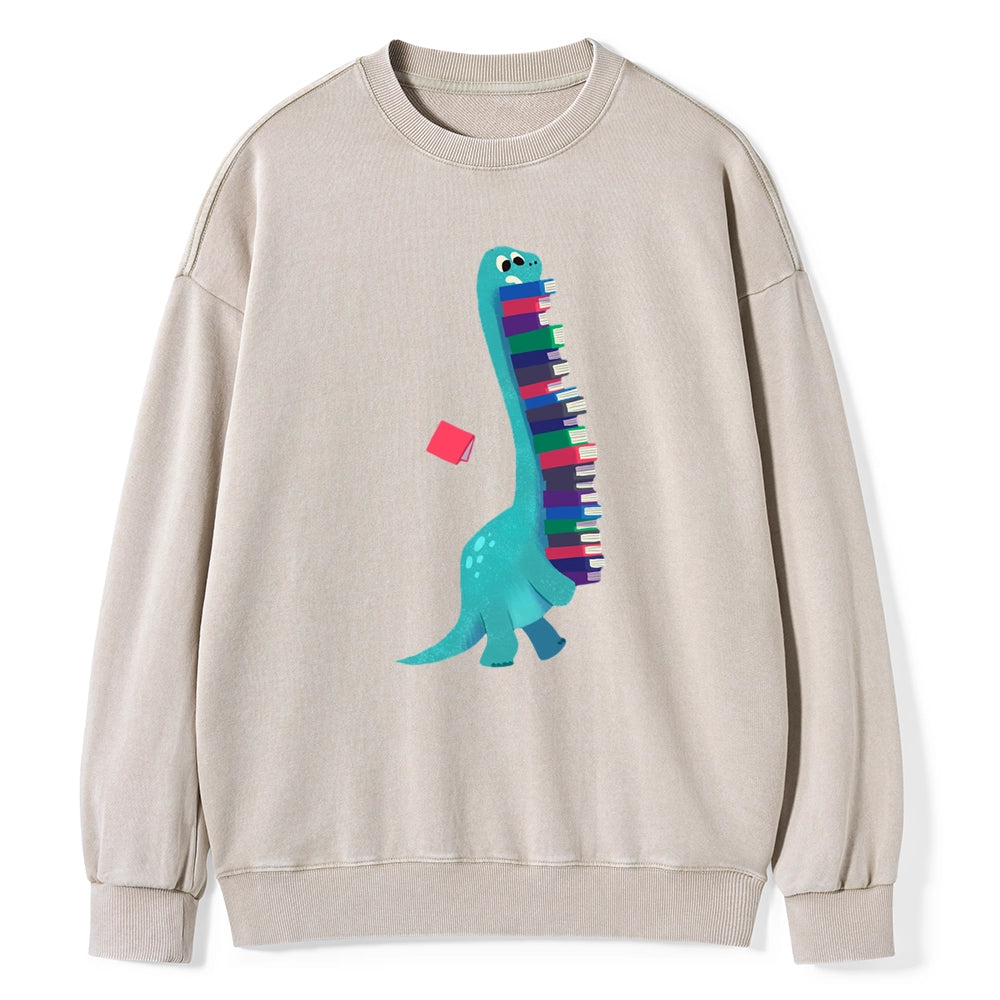 Book Dinosaurs Unisex Washed Sweatshirt