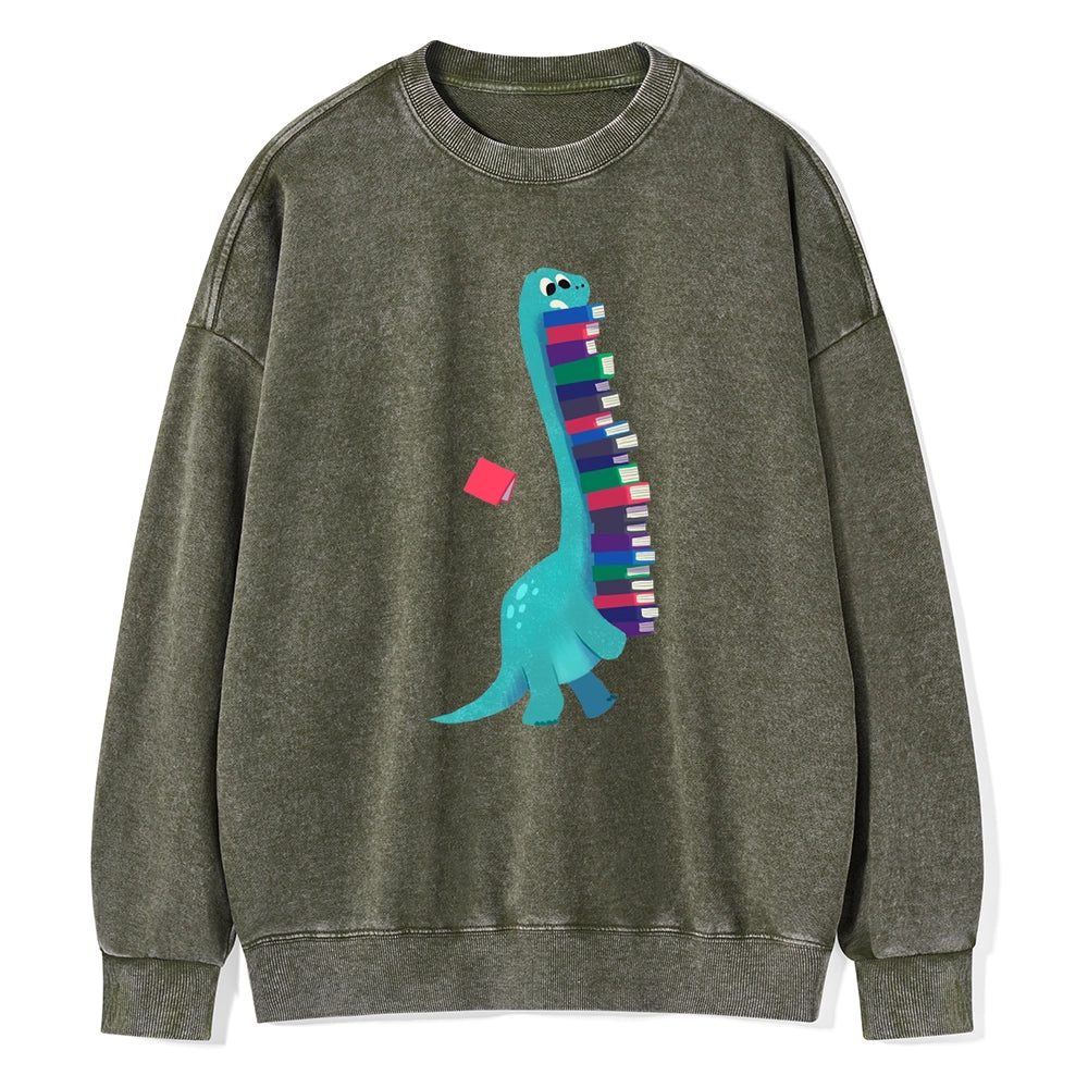 Book Dinosaurs Unisex Washed Sweatshirt