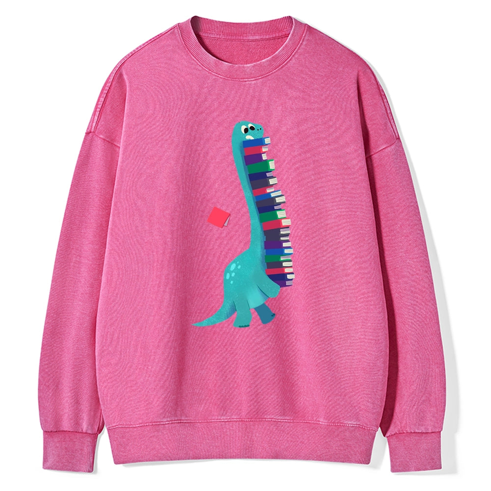 Book Dinosaurs Unisex Washed Sweatshirt