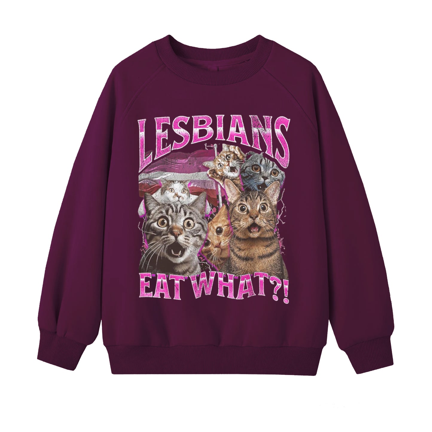 Women's Lesbians Eat What LGBT Funny Cat Art Pattern Print Sweatshirt