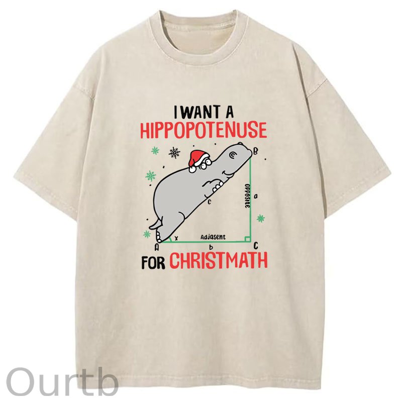 I Want A Hippopotenuse For Christmas Washed T-Shirt