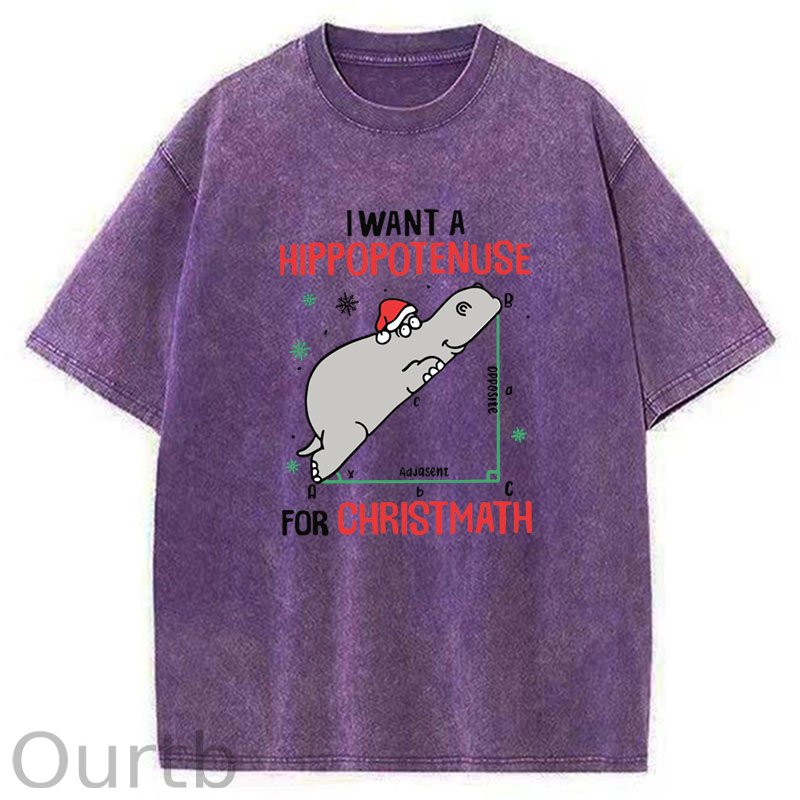 I Want A Hippopotenuse For Christmas Washed T-Shirt