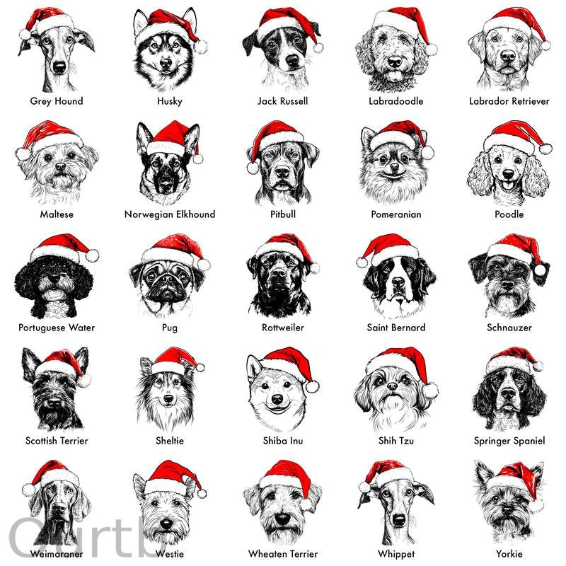 Santa Paws Christmas Dog Sweatshirt – 50 Dog Breeds in Festive Santa Hat | Gildan Unisex Holiday Pullover