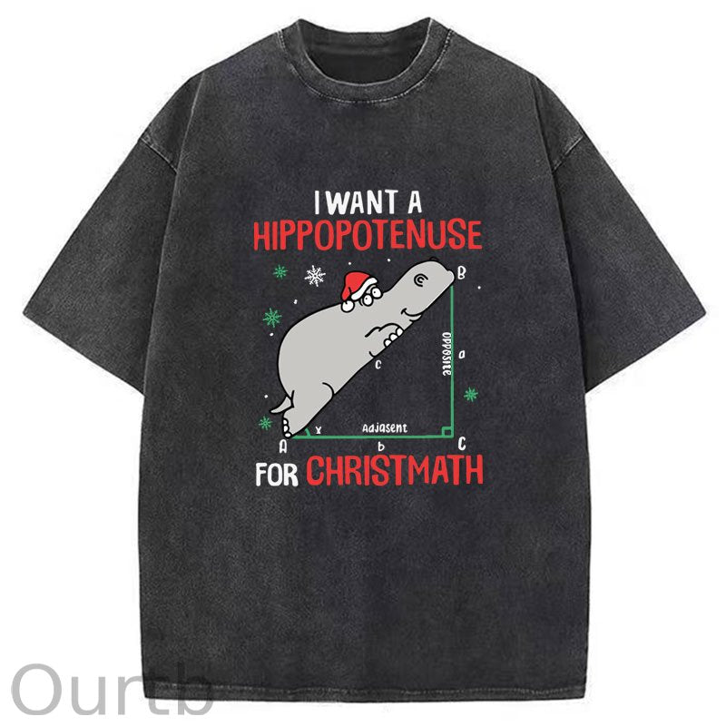 I Want A Hippopotenuse For Christmas Washed T-Shirt