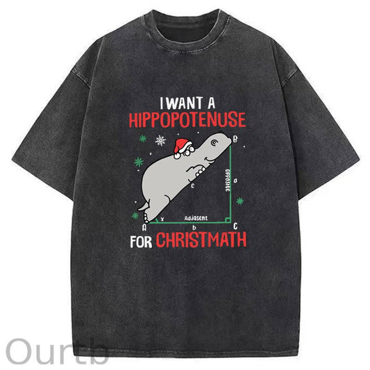 I Want A Hippopotenuse For Christmas Washed T-Shirt