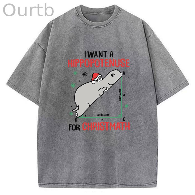 I Want A Hippopotenuse For Christmas Washed T-Shirt