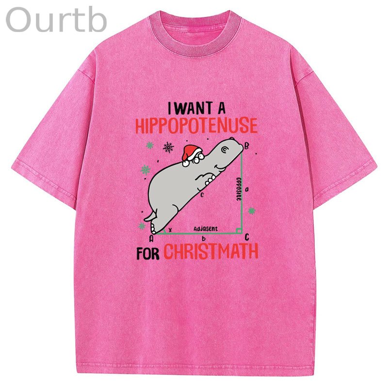 I Want A Hippopotenuse For Christmas Washed T-Shirt