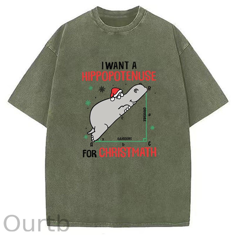 I Want A Hippopotenuse For Christmas Washed T-Shirt